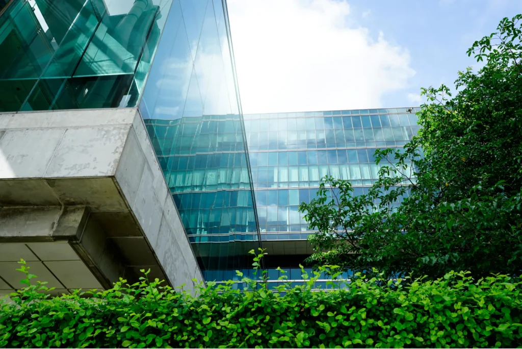 Oficinas sostenibles y eco friendly